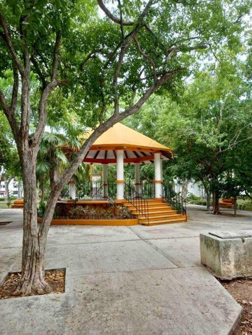 Beautiful Jungle House On A Strategic Location Villa Cancún Eksteriør billede