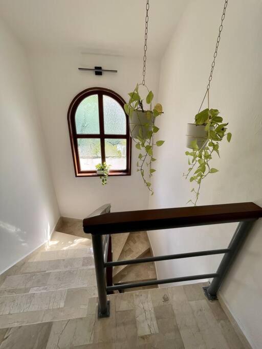 Beautiful Jungle House On A Strategic Location Villa Cancún Eksteriør billede