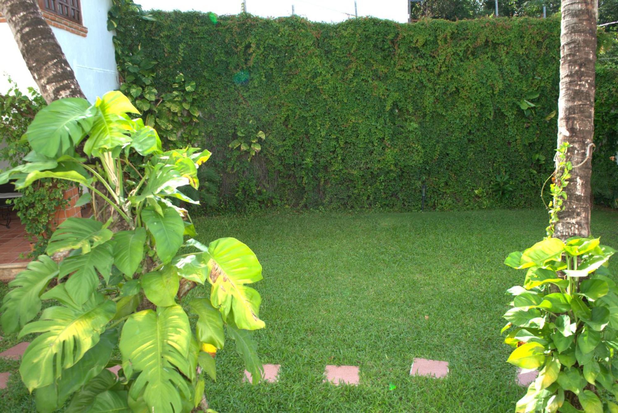 Beautiful Jungle House On A Strategic Location Villa Cancún Eksteriør billede